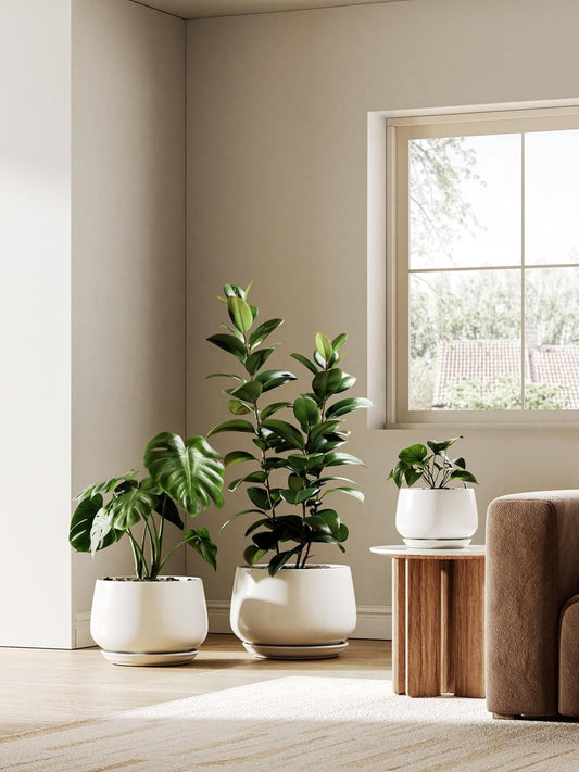 LE TAUCI Ceramic Planter, 10 Inch Plant Pot with Drainage Hole & Saucer â Durable Indoor Planter for Modern Home Decor, White