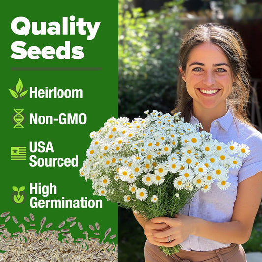 HOME GROWN π¨π¦π π£π₯ππ ππ¨π German Chamomile Seed Pack β 2,280 π‘π’π‘-ππ π’ Heirloom Seeds for Planting for Sustainable Gardens and Soothing Medicinal Herbal Teas (Matricaria chamomilla)