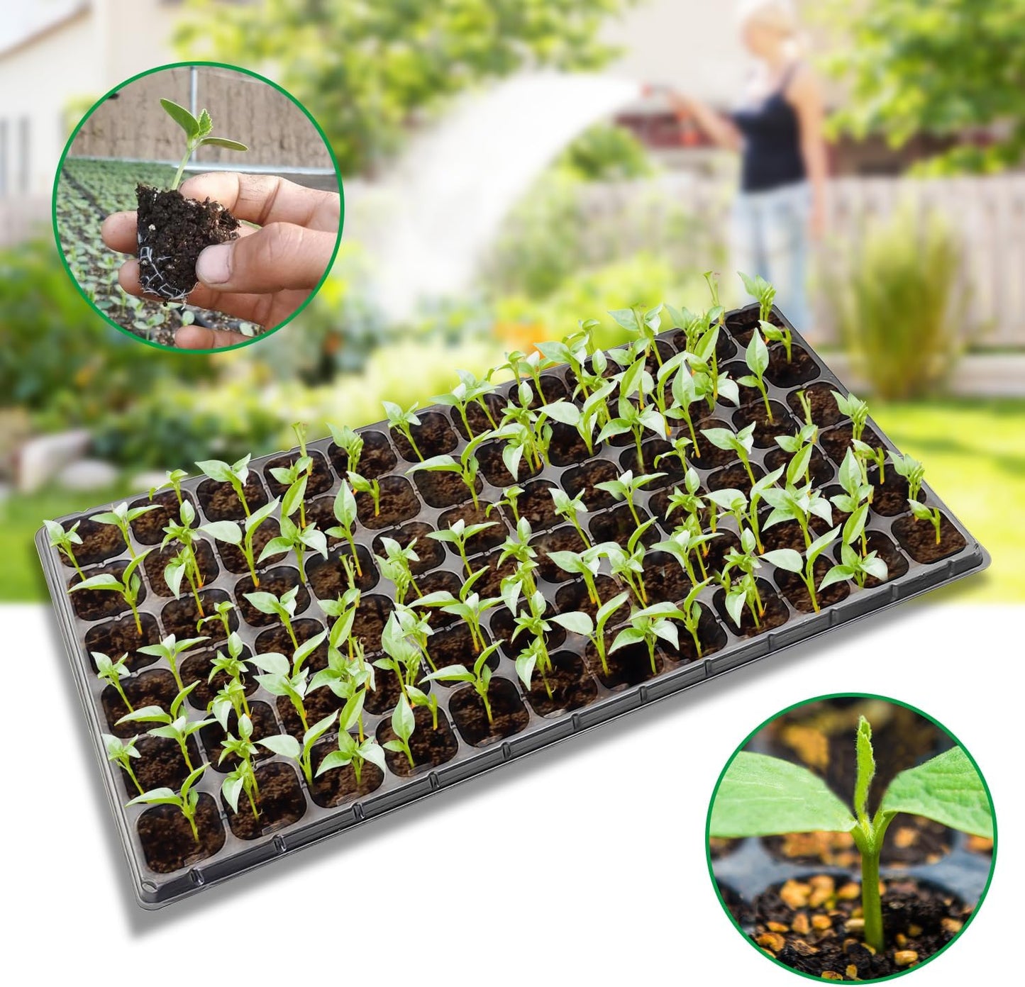 72 Cell Seed Trays, Thick Durable 72 Cell Plug Tray Seedling Plastic Nursery Tray for 1020 Flat Germination (10-Pack, 21"Γ11", 1.81" Height, Low)