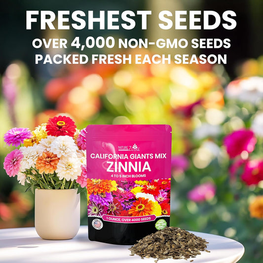 NatureZ Edge Zinnia Seeds for Planting Outdoors β California Giants Flower Seeds, Bulk Semillas de Flores para Sembrar, 1 Oz