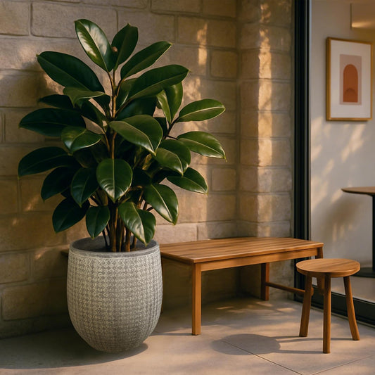 Worth Garden Large Grey Round Planter â 14.5" Dia x 17.5" H Lightweight Magnesium Oxide Cement Plant Pot with Texture â Raised Pattern Concrete Look â Drainage Hole â Indoor & Outdoor Use
