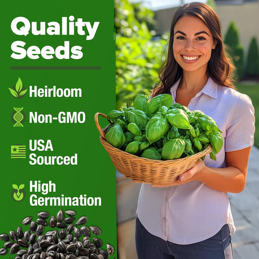 HOME GROWN Genovese Basil Seeds 2 Pack - 3500 π‘π’π‘-ππ π’ π¨π¦π Heirloom Basil Seeds for Planting (Ocimum basilicum) - Herb Seeds for Indoor & Outdoor Gardening - Grow for Culinary Use