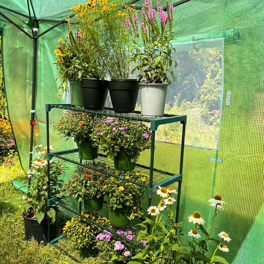 EAGLE PEAK Greenhouse Shelving Staging Double 4 Tier, Outdoor/Indoor Plant Shelves, 35"x12"x42", Green