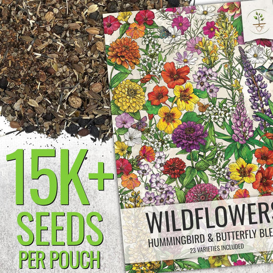 Seed Needs Wildflower Seeds Hummingbird and Butterfly Seed Mix | 2 Packs (1 Ounce Each) No Filler 23 Varieties Garden Seeds Annual & Perennial Species | Pollinator Attracting Flower Seed | Bulk