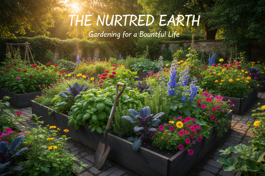 The Secret Behind Gardens That Always Look Healthy