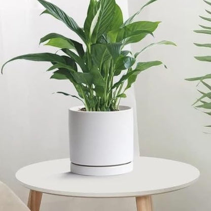 2 Pack Ceramic Plant Saucer Pot Tray 8 Inch, Planter Saucers 4 5 6 7 8 9 10 11 12 Inch for Indoors Outdoor, Durable Sturdy Flower Drainage Tray for Glazed Pots Base (8.5 Inch White)