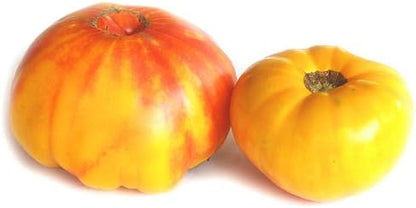 Clovers Garden Heirloom Pineapple Tomato Plants- Two (2) Live Plants – Non-GMO - Not Seeds – Each 4"-8" Tall in 4 Inch Pots - Indeterminate, Disease Resistant