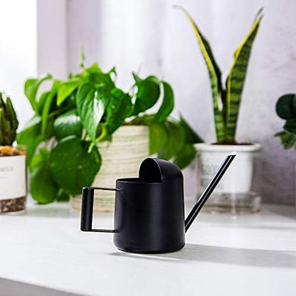Watering Cans, 10oz/300ml Stainless Steel Long Spout Small Watering Sprinkling Pot, Indoor Outdoor Garden Flower Succulents Plant Watering Cans, Stylish Gardening Decoration(Black)