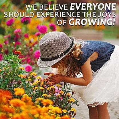 Northeastern Wildflower Seeds Bulk – 1/4 lb, 160,000+ Seeds – Native Northeast Wildflower Mix – Annual & Perennial Flower Seed for Planting – Pollinator-Friendly Garden Mix