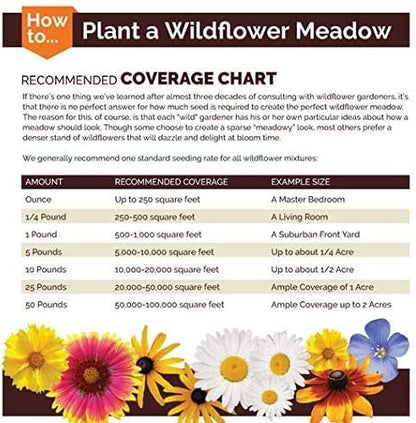 Non GMO Bulk Annual Gaillardia Blanket Flower Seed -Gaillardia pulchella (5 Lbs)