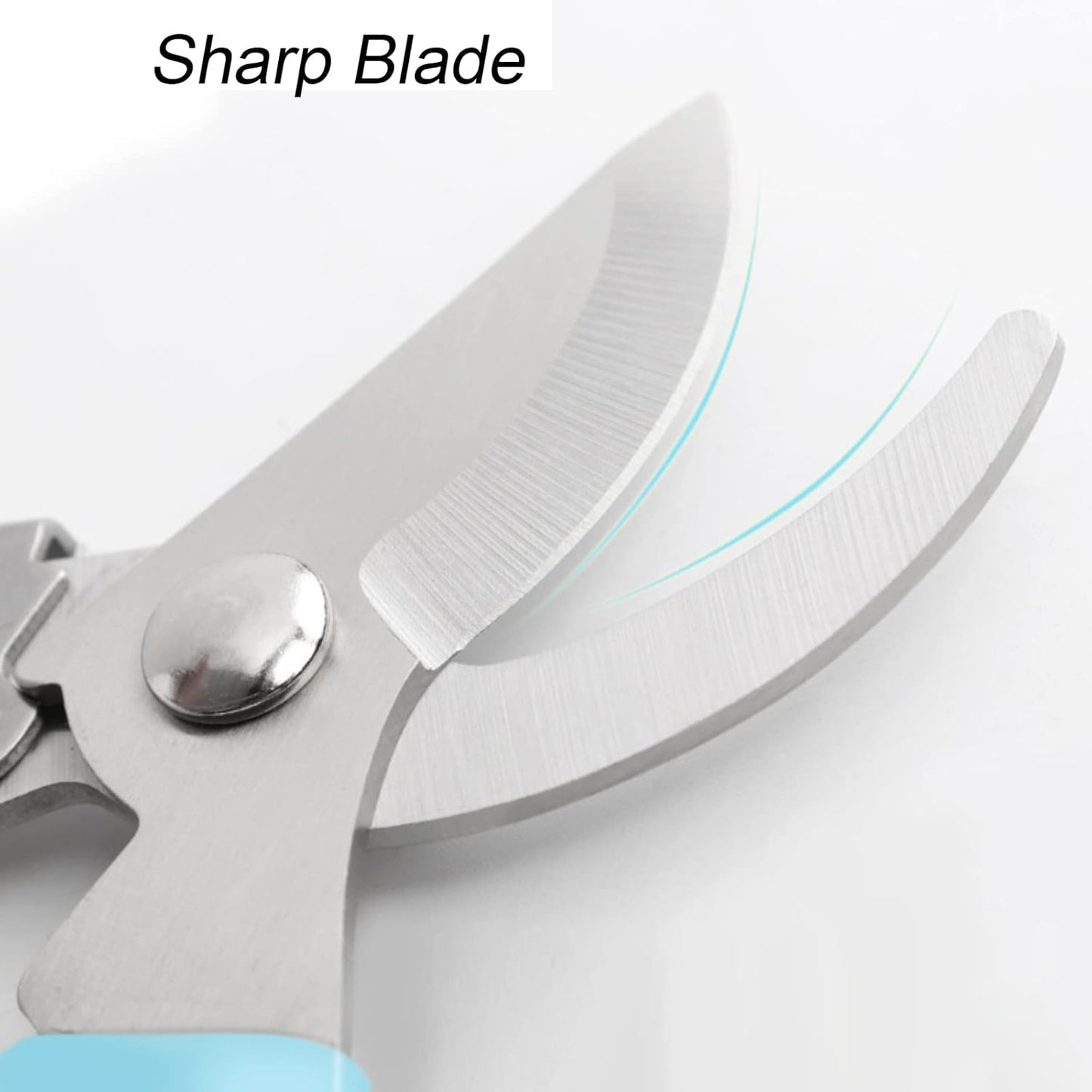 Curve Gardening Scissor with Sharp Stainless Steel Blade Garden Shears for Cutting Flowers Trimming Plants of Yard Florist Flower Rose Herb Hedge Bonsai and Fruits Picking (Red Handle)