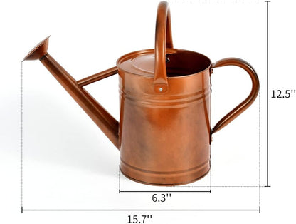 Metal Watering Can for Outdoor and Indoor Plants, Watering Can Decor, 1 Gallon (1 Gallon Copper)