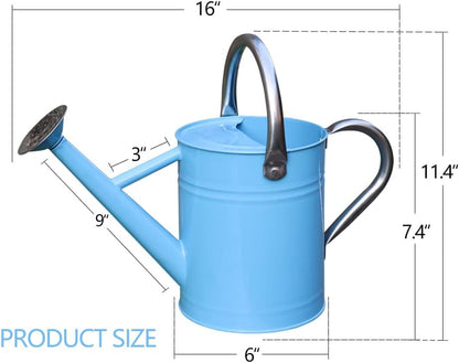 Metal Watering Can, One Gallon Watering Cans Stainless Steel for Outdoor Indoor Garden Plants Watering (Stainless Steel Handle Blue)