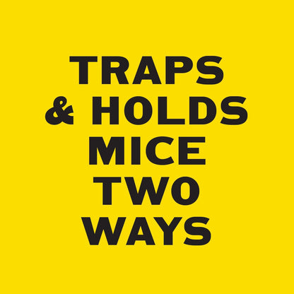 PIC Mouse Glue Boards, Baited Glue Trap with Sticky Adhesive, Sticky Mouse Traps for Indoors, Trampas para Ratones Pest Control Trap, Easy to Set, Non-Toxic, Disposable, 6 Pack (24 Traps Total)