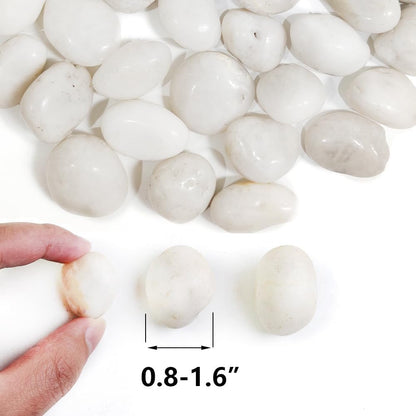 HappyFiller Natural Decorative White Pebbles Polished Rocks Stones for Aquarium Gravel,Fish Turtle Tank,Outdoor Indoor Succulents Plants Top Dressing,Graden Landscaping,2 LB