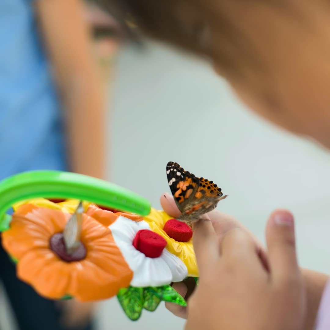 Deluxe Butterfly Feeder (Set of 2) – Outdoor Feeder – 4 Nectar Feeding Stations – Colorful Flowers Attract Butterflies to Your Garden