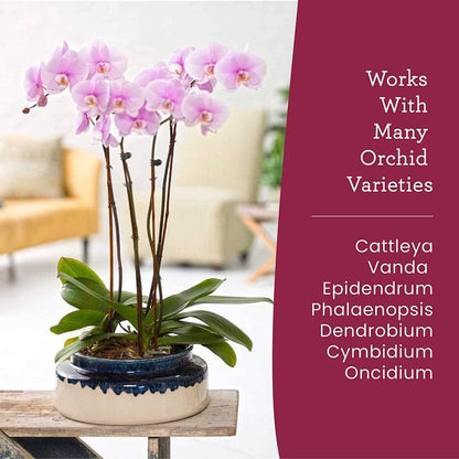 Orchid Fertilizer Spray – Nourishing Liquid Plant Food Mist for Healthy Orchids – Easy-to-Use Nutrient Boost for Vibrant Blooms & Healthy Roots – Made in USA – 8 oz