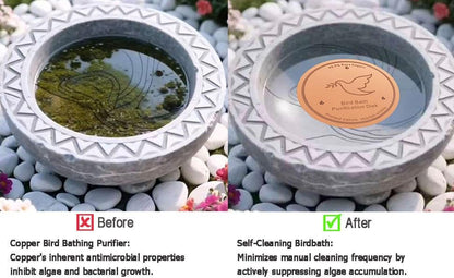 2Pack Bird Bath Copper Purification Disk | 0.6mm Reinforced 99.9% Pure Copper | Universal Fit for Outdoor Birdbaths(Birdbath Copper 2 Pack)