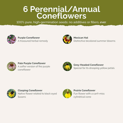 Eden Brothers Conehead Flower Mixed Seeds for Planting, 5 lb, 2,400,000+ Seeds with Prairie Coneflower, Mexican Hat | Attracts Pollinators, Plant in Spring or Fall, Zones 3, 4, 5, 6, 7, 8, 9, 10