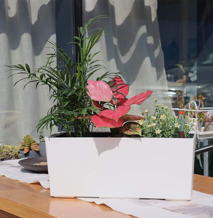 SAROSORA 14" Rectangle Self Watering Planter with Water Level Indicators for Plants & Flower Home Garden Outdoor Indoor Succulent | Herb pots | Window Box (1, White)