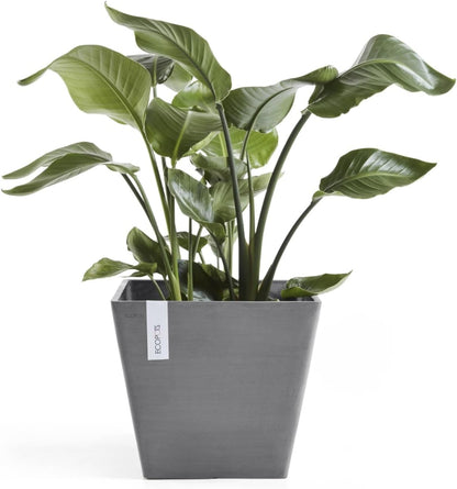 Ecopots Rotterdam Durable Modern Square Indoor/Outdoor Recycled-Based Composite Flower Planter, Grey, 12"