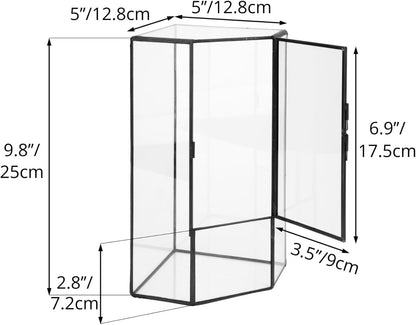NCYP Front Opening Glass Terrarium with Door for Succulents, Small Plants - Closed Geometric Container Planter, Indoor Tabletop Wall Corner Landscape Decor, Black, 5" x 5" x 9.8" (Terrarium Only)
