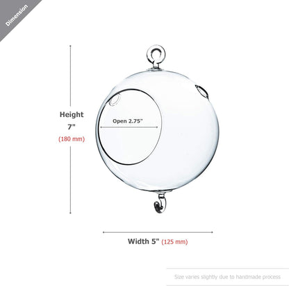 WGV Hanging Terrarium Globe, Width 5", Height 7", Double Hook, DIY Air Succulent Planter, Clear Glass Vase Orb, Candle Holder for Windowsill Outdoor Garden Decor, 1 Piece