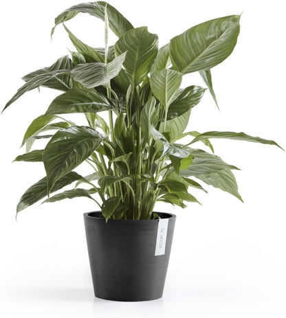 Ecopots Amsterdam Durable Modern Round Indoor/Outdoor Recycled-Based Composite Flower Pot Planter, Dark Grey, 8"