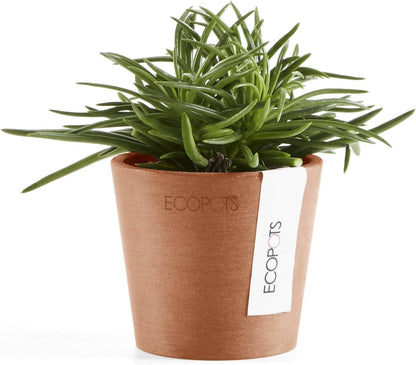 Ecopots Amsterdam Mini Durable Modern Round Recycled-Based Composite Flower Pot Planter, Terracotta Color, 3"