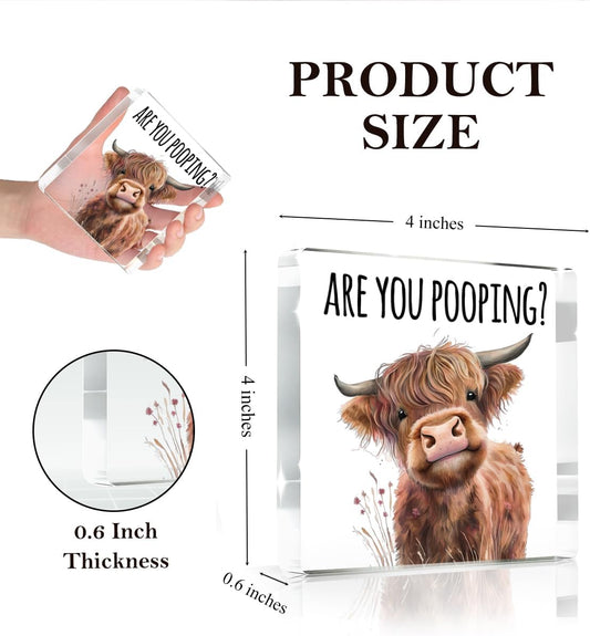 Highland Cow Bathroom Decor Gifts,Are You Pooping Funny Acrylic Sign Bathroom Decor for Western & Highland Cow Lovers Gifts for Coworker, Friends, Boss, Men, Women 4x4 Inch