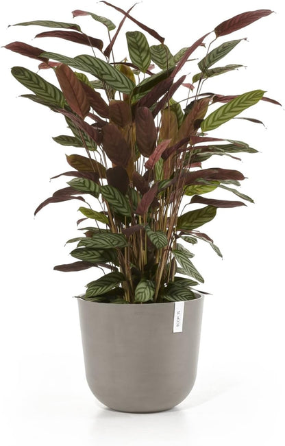 Ecopots Oslo Durable Modern Round Indoor/Outdoor Recycled-Based Composite Flower Pot Planter, Taupe, 14"