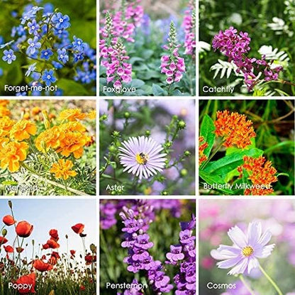 Pollinator Wildflower Seeds Bulk – 1 lb, 640,000+ Seeds – 23 Variety Mix for Hummingbirds & Butterflies – Non-GMO Annual & Perennial Flower Seed for Planting