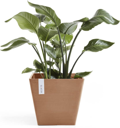 Ecopots Rotterdam Durable Modern Square Indoor/Outdoor Recycled-Based Composite Flower Planter, Terracotta Color, 12"