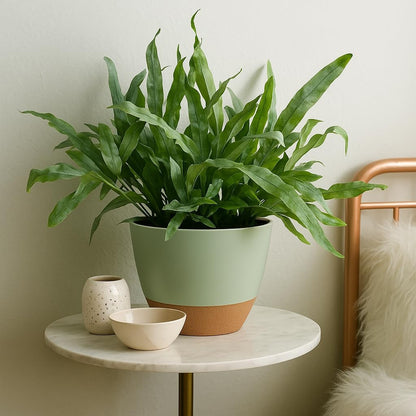 Plant Pots 12/10/9 inch Set of 3, Self Watering Flower Pots Indoor Outdoor, Planters with Drainage Hole Saucer Reservoir, Green