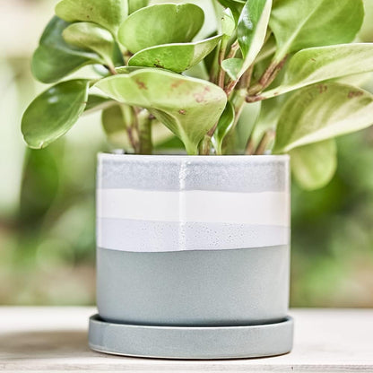 CHIVE ‘Minute’ Ceramic Planter Pot — Cute 5” Colorful Succulent Pots for Indoor & Outdoor House Plants — Beautiful Modern Farmhouse Kitchen Decor — Matte Green