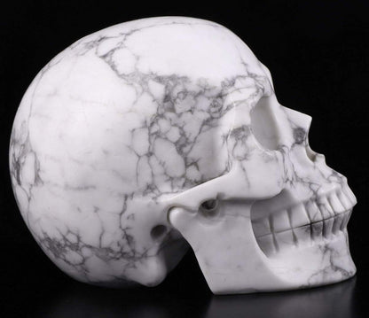 Skullis 5.0" Howlite Crystal Skull, Hand Carved Gemstone Fine Art Sculpture, Reiki Healing Stone Statue.