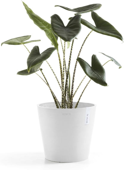 Ecopots Amsterdam Durable Modern Round Indoor/Outdoor Recycled-Based Composite Flower Pot Planter, Pure White, 10"