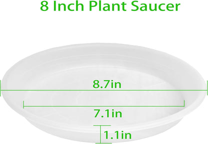 6 Pack Clear Plant Saucer 8 inch, Heavy Duty Plastic Plant Water Tray, Planter Saucers, Flower Pot Tray, Planter Tray, Bird Bath Bowls, Water Trays for Plant Pots 7"/8" (Clear)