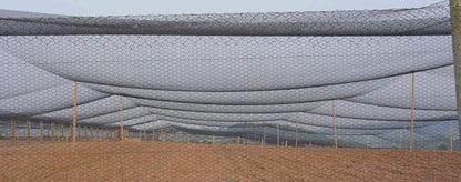 Poultry Netting 1" or 2" Mesh Heavy Knotted Nets Aviary Gamefowl Quail Chicken Bird Block Net Long Lasting Break/Burst 85/245 lb Polyethylene 8-10 Year Lifespan (25' X 150', 1)