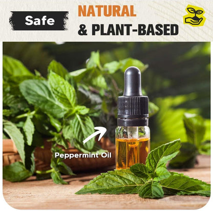 Pest Repellent, Mouse Repellent, Rodent Repellent for Indoor/Outdoor, Natural Rat Repellent for House, Keep Mice, Roach, Ant and Spider Away from Home, Protects 120 sq ft - 8P