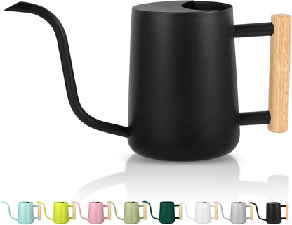 Plant Watering Can,35oz Metal Watering Can,Stainless Steel Indoor Plants with Long Curved Spout,Small Bonsai Outdoor Garden Modern Decorative(Black)