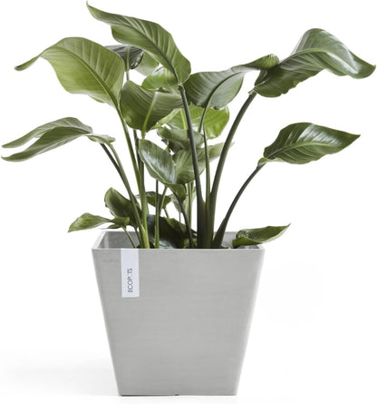Ecopots Rotterdam Durable Modern Square Indoor/Outdoor Recycled-Based Composite Flower Planter, White Grey, 12"