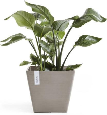 Ecopots Rotterdam Durable Modern Square Indoor/Outdoor Recycled-Based Composite Flower Planter, Taupe, 15.75"