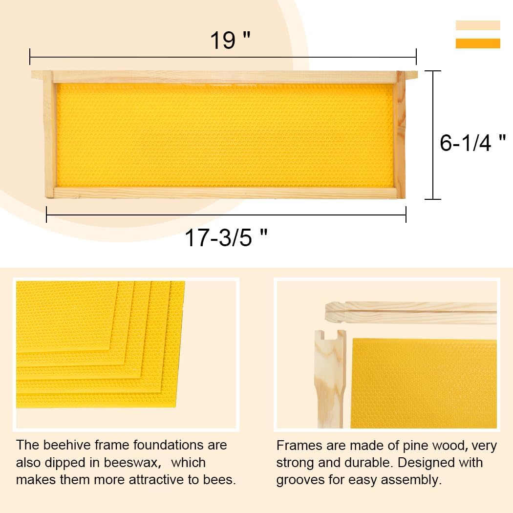 8 Frame Bee Hive Box, Langstroth Medium Super Bee Box Dipped in 100% Beeswax Include Beehive Frames and Waxed Foundation Sheets (Unassembled)