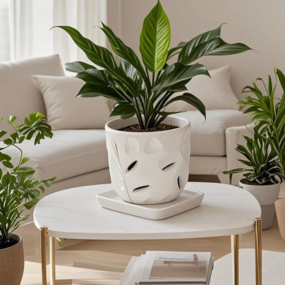 Square Plant Saucer 6 Inch 2 Pack，Plant Trays for Pots, White Ceramic Plant Saucers for Indoors Outdoors, Plant Drip Tray 4 6 8 10 12 14 Inch