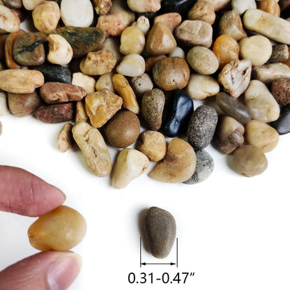 HappyFiller 2 LB Natural River Rocks Decorative Pebbles Polished Terrarium Stones Assorted Colors for Indoor Garden Plants Top Dressing Soil Cover,Aquarium Fish Turtle Tank Decor,Zen Garden