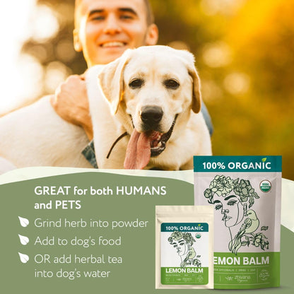 Super Value Pack 5 LB - Organic Lemon Balm Tea - Melissa Officinalis - Improve Sleep, Support Digestion, Lower Stress Levels