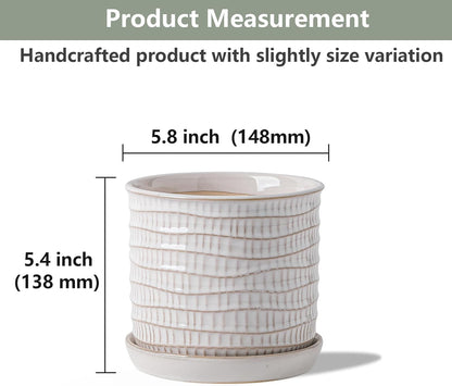 5.8 Inch Plant Pot: Ceramic Planter with Drainage Hole & Saucer - Cream White Flowerpot for Indoor & Outdoor Plants - with Separate Tray for Home & Office - Wave Embossed Design