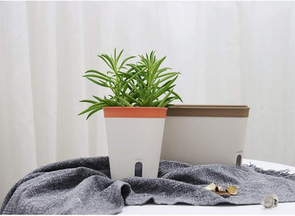 GardenBasix Self Watering Pots Window Box for Indoor Plants Set of 6 Home Garden Modern Decorative Flower Planter for All House Herbs Succulents (6, Tricolor)