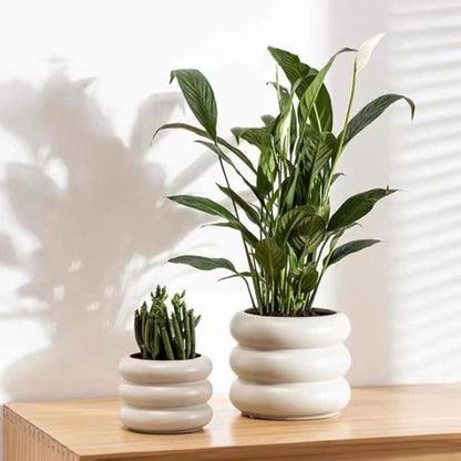 Ceramic Plant Pot Indoor, 6.5 Inch Flower Pot with Drainage Hole, Tiered Bubble Design Ceramic Planter for Home & Office Decor (Beige)